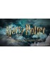 Harry Potter - Miniatures Adventures Games